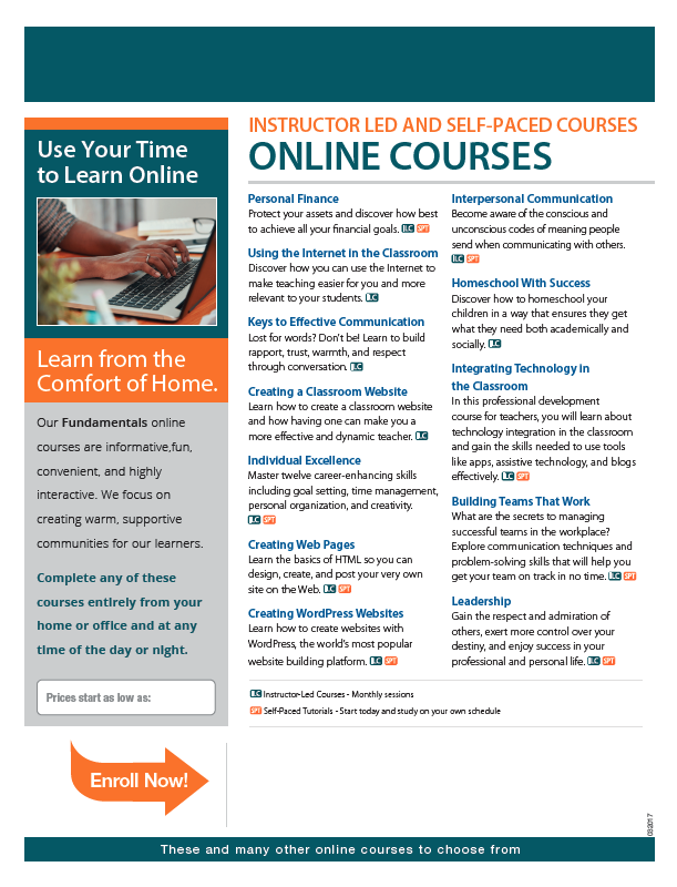 Read more about the article Flyer: Use your time to learn online