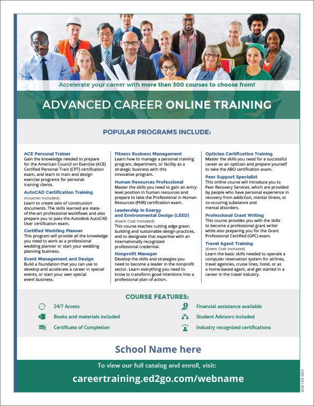 Read more about the article Flyer: Advanced Career Online Training