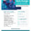 Flyer: Web Design Online Courses